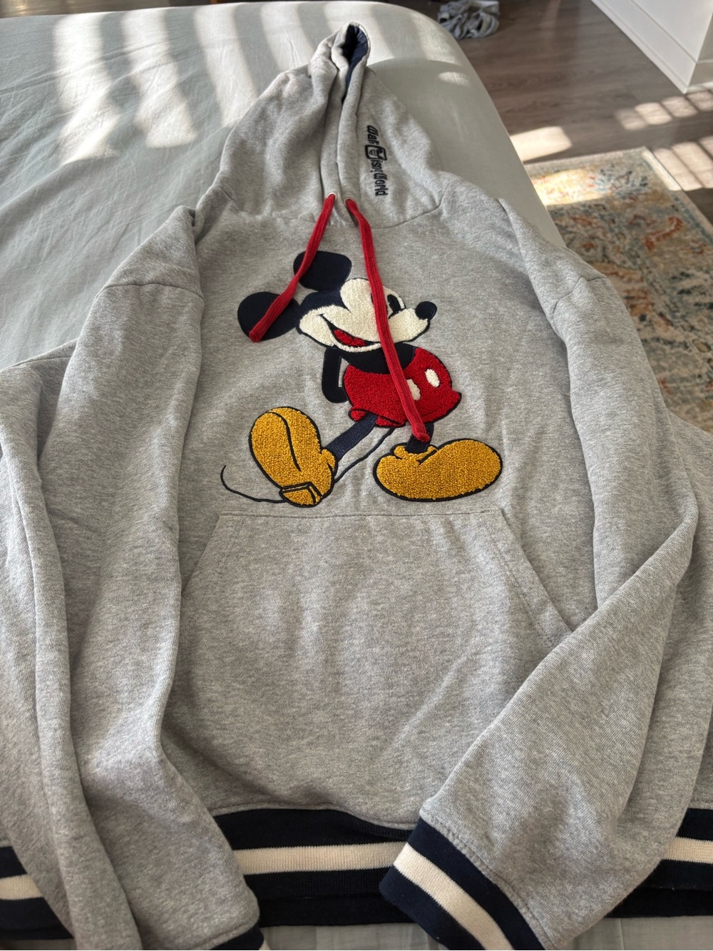 Disney Parks Mickey Sweatshirt